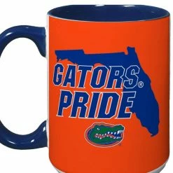 Indigo Falls Florida Gators 15oz. Hometown Mug