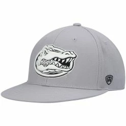 Top Of The World Men's Gray Florida Gators Fitted Hat