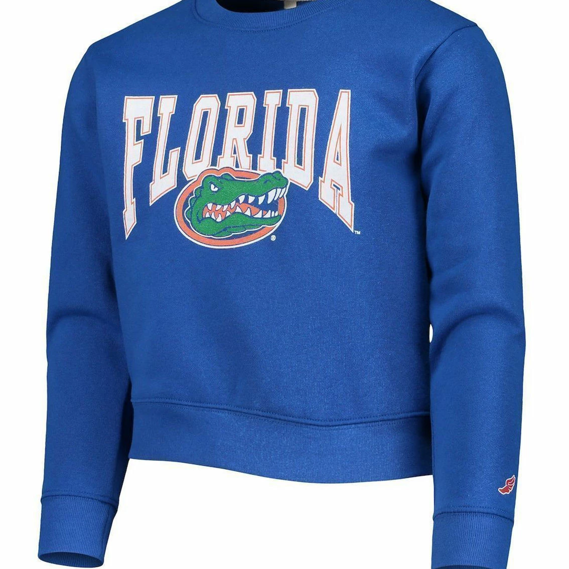 League Collegiate Wear Youth Royal Florida Gators Essential Pullover Sweatshirt - Image 3