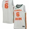 Nike X LeBron James Men's X LeBron James White Florida A&M Rattlers Replica Basketball Jersey