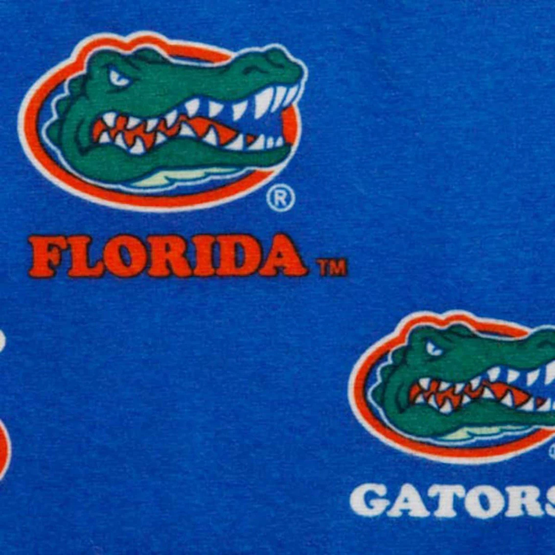 Genuine Stuff Florida Gators Youth Royal Blue Team Logo Flannel Pajama Pants - Image 3