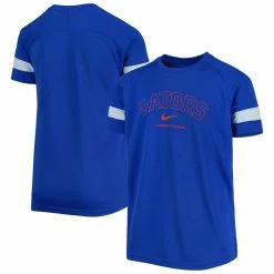 Youth Nike Royal Florida Gators Academy Raglan Sleeve Stripe T-Shirt