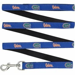 StadiumSpot Florida Gators 4' Narrow Dog Leash